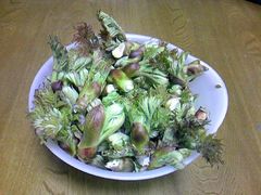 20090419_1.jpg