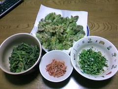 20090419_2.jpg