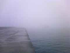 20100505_1.jpg