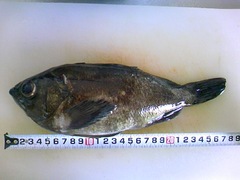 20110504_05.jpg