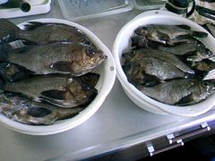 20110504_06.jpg