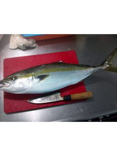 20120819_5.jpg