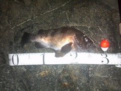 20130518_2.jpg
