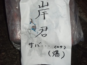 PA180600.JPG
