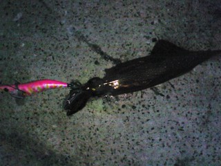 090113_02.JPG