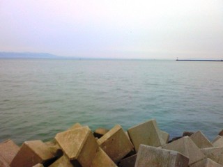 20101213_02.jpg