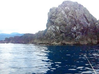 20110730_02.jpg