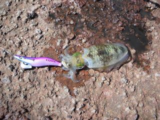 20131003_03.jpg