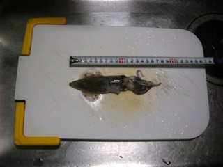 20140204_03.jpg